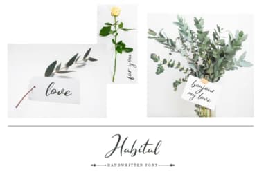 Habital Font by Pasha Larin — Script Handwritten Font — thumbnail 6