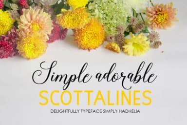 Hadhelia Script Font by Picatype Studio — Script Handwritten Font — thumbnail 3