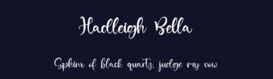 Hadleigh Bella by Kong Font — Script Handwritten Font — thumbnail 2