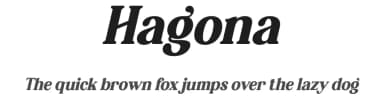 Hagona by Letterena Studios — Serif Font — thumbnail 1