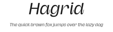 Hagrid by Zetafonts — Sans Serif Font — thumbnail 1