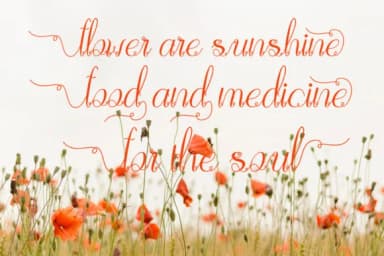 Halayna Font by IM Studio — Script Handwritten Font — thumbnail 2