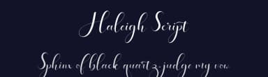 Haleigh Script by Amarlettering - Takiy — Script Handwritten Font — thumbnail 2