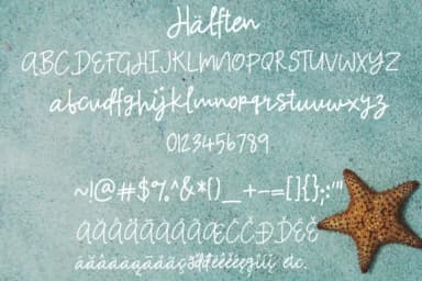 Halften Font by Studio_Art — Script Handwritten Font — thumbnail 6