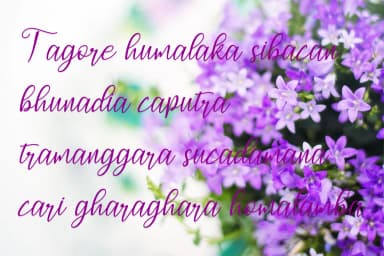 Halimoon Script Font by Marxause — Script Handwritten Font — thumbnail 8