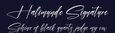 Halimunde Signature by Letterena Studios — Script Handwritten Font — thumbnail 2