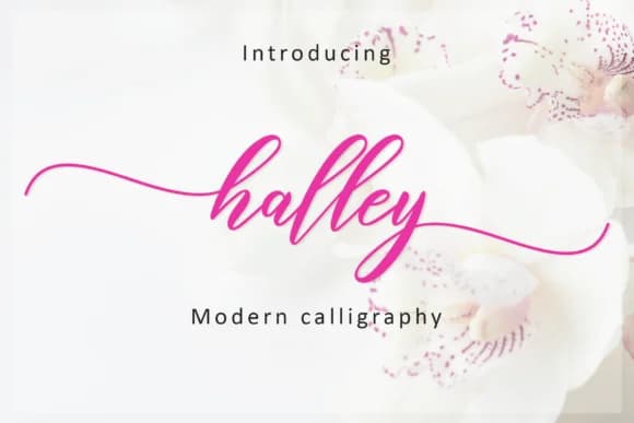 Halley Script Font by Amarlettering — Script Handwritten Font