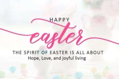 Halley Script Font by Amarlettering — Script Handwritten Font — thumbnail 3