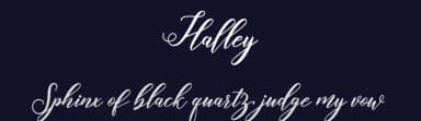 Halley by Amarlettering - Takiy — Script Handwritten Font — thumbnail 2