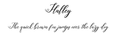 Halley by Amarlettering - Takiy — Script Handwritten Font — thumbnail 1