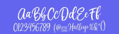 Halleyo by Din Studio — Script Handwritten Font — thumbnail 3