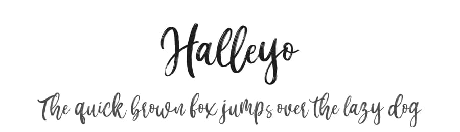 Halleyo by Din Studio — Script Handwritten Font