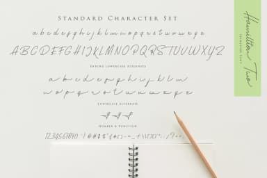 Hamillton Font by ardyanatypes — Script Handwritten Font — thumbnail 9