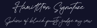 Hamiltton Signature by FinTypeStudio — Script Handwritten Font — thumbnail 2