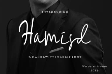 Hamisd Font by wildlifestudio19 — Script Handwritten Font — thumbnail 1