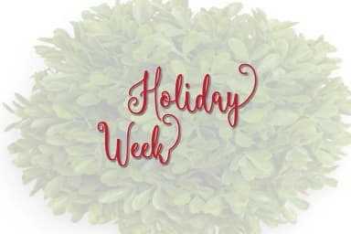 Hammerte Font by Polem — Script Handwritten Font — thumbnail 6