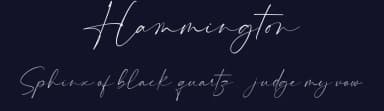 Hammington by Maulana Creative — Script Handwritten Font — thumbnail 2