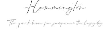 Hammington by Maulana Creative — Script Handwritten Font — thumbnail 1