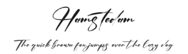 Hamstedam by Letterena Studios — Script Handwritten Font — thumbnail 1