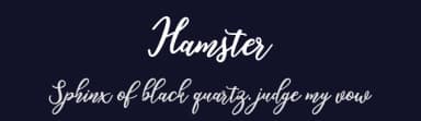 Hamster by Amarlettering - Takiy — Script Handwritten Font — thumbnail 2