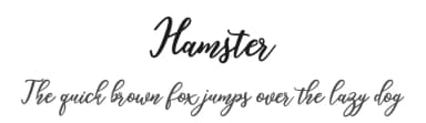 Hamster by Amarlettering - Takiy — Script Handwritten Font — thumbnail 1