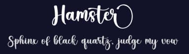 Hamster by Inermedia Studio — Script Handwritten Font — thumbnail 2