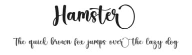 Hamster by Inermedia Studio — Script Handwritten Font — thumbnail 1