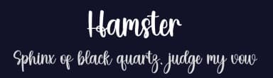 Hamster by Inermedia Studio — Script Handwritten Font — thumbnail 2