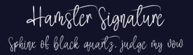 Hamster Signature by Scratchones — Script Handwritten Font — thumbnail 2