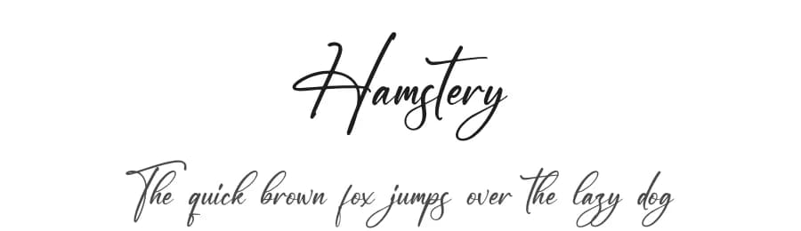 Hamstery by Letterena Studios — Script Handwritten Font