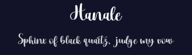 Hanale by Afkari Studio — Script Handwritten Font — thumbnail 2