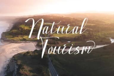 Hand Fast Font by parawtype — Script Handwritten Font — thumbnail 2