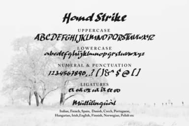 Hand Strike Font by JavaPep — Script Handwritten Font — thumbnail 2
