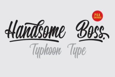 Handsome Boss Font by Typhoon Type™ — Script Handwritten Font — thumbnail 2