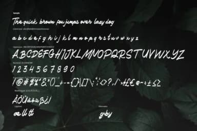 Haned Font by Vunira — Script Handwritten Font — thumbnail 6