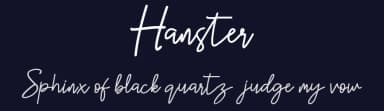 Hanster by Bluestype Studio — Script Handwritten Font — thumbnail 2