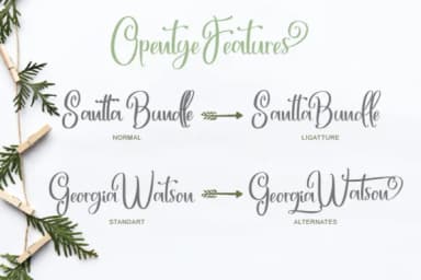 Happy Marlyana TrioFamily Font by subotype — Script Handwritten Font — thumbnail 4