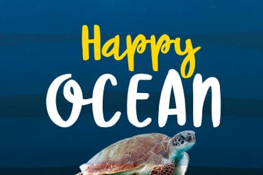 Happy Ocean Font by LebahStudio — Script Handwritten Font — thumbnail 1