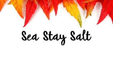 Happy Ocean Font by LebahStudio — Script Handwritten Font — thumbnail 3