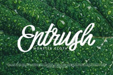 Harbala Font by Vunira — Script Handwritten Font — thumbnail 3