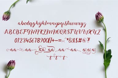 Harbour Font by saidi studio — Script Handwritten Font — thumbnail 6