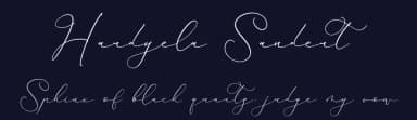 Hardyela Sandert by Storytype Studio — Script Handwritten Font — thumbnail 2