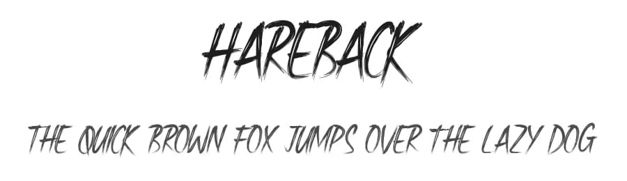 Hareback by Noah Type — Script Handwritten Font