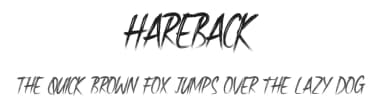 Hareback by Noah Type — Script Handwritten Font — thumbnail 1