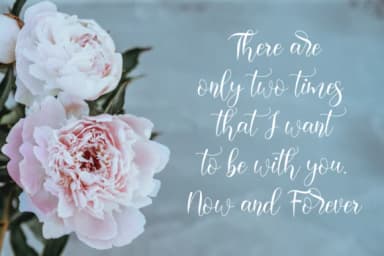 Harelia Script Font by NissaStudio — Script Handwritten Font — thumbnail 9