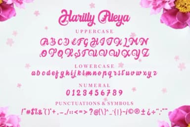 Harilly Aleya Font by Holydie Studio — Script Handwritten Font — thumbnail 4