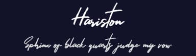 Hariston by DM Letter Studio - Dimas Prasetyo — Script Handwritten Font — thumbnail 2