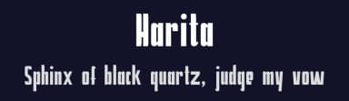 Harita by Vz Type — Sans Serif Font — thumbnail 2
