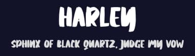 Harley by Skiiller Studio — Script Handwritten Font — thumbnail 2