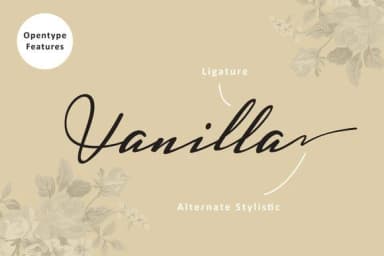 Harmonie Font by Ian Mikraz — Script Handwritten Font — thumbnail 3